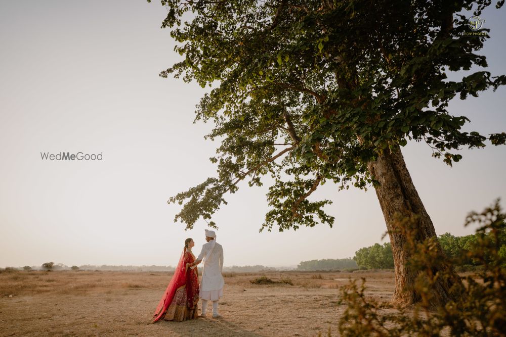 Photo By Wow Photos - Photographers