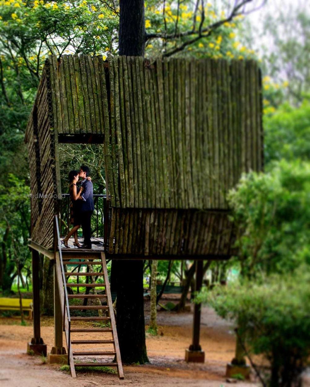 Photo By Alwyn Photographer - Photographers