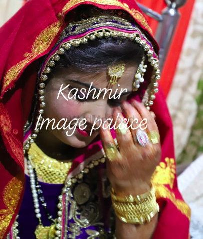 Photo By Kashmir Image Palace - Photographers