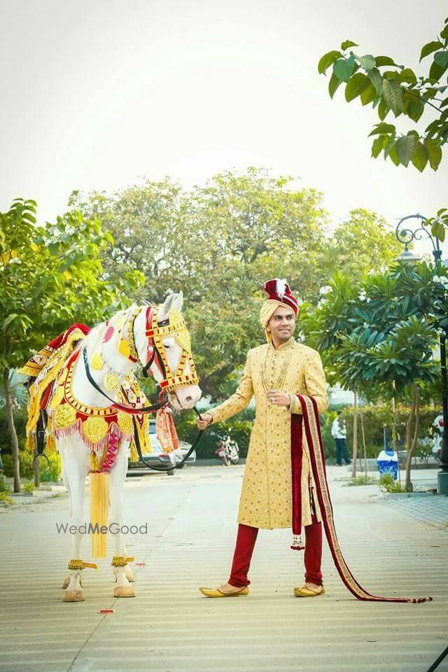 Photo By Krishna Digital Studio Bhupal Sagar - Photographers