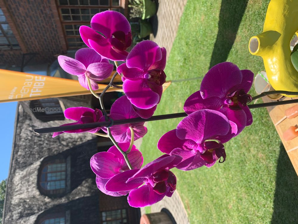 Photo By Weddings Unlimited - Wedding Planners