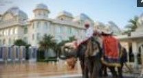 Photo By Indian Wedding Planners - Wedding Planners