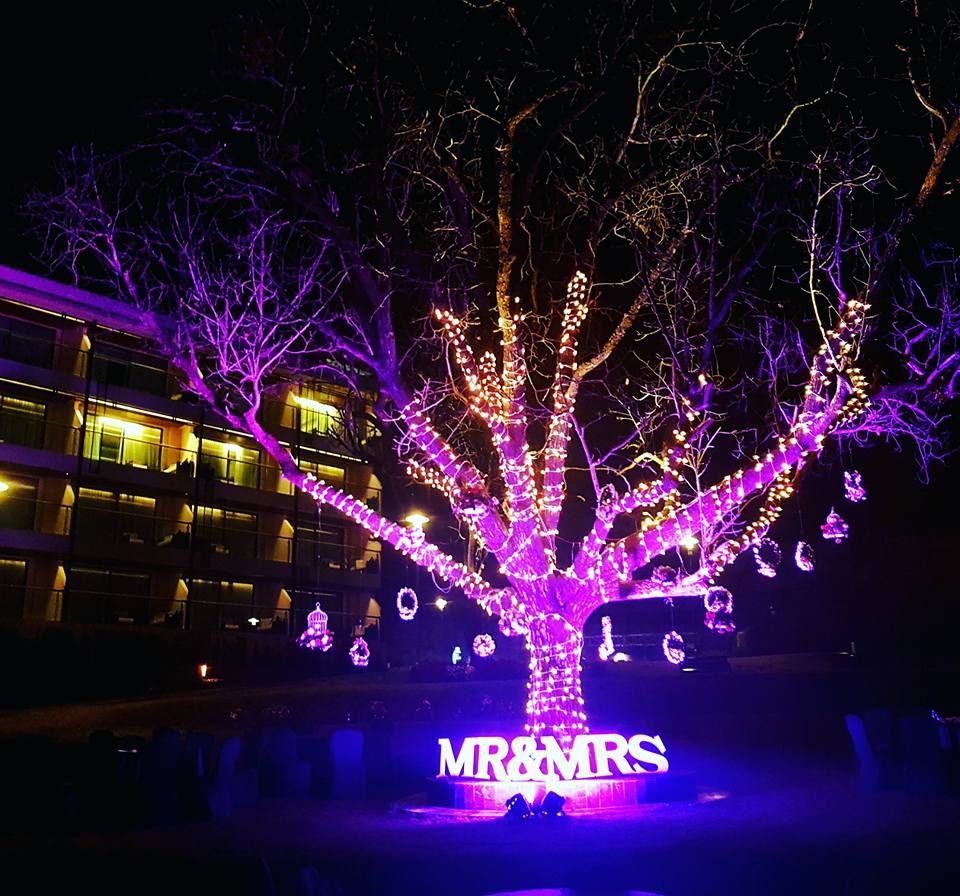 Photo of Fairy lit tree
