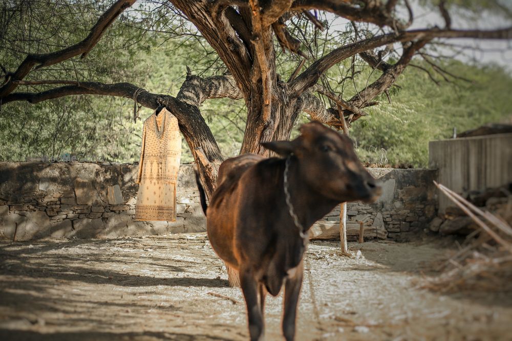 Photo By Gourav Banna Photography - Cinema/Video