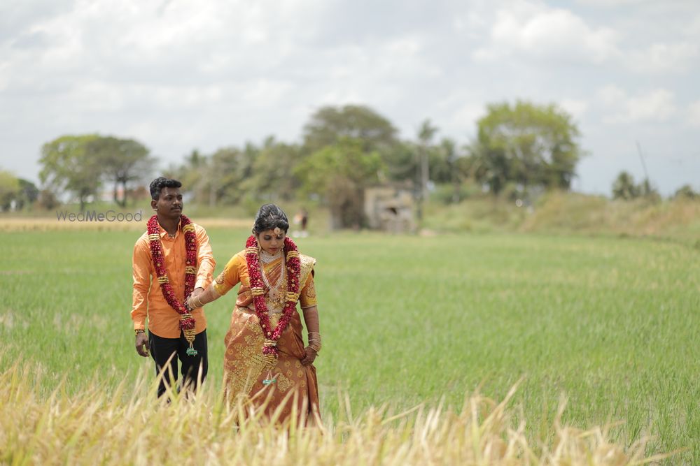 Photo By Team Media Hobbyist - Photographers