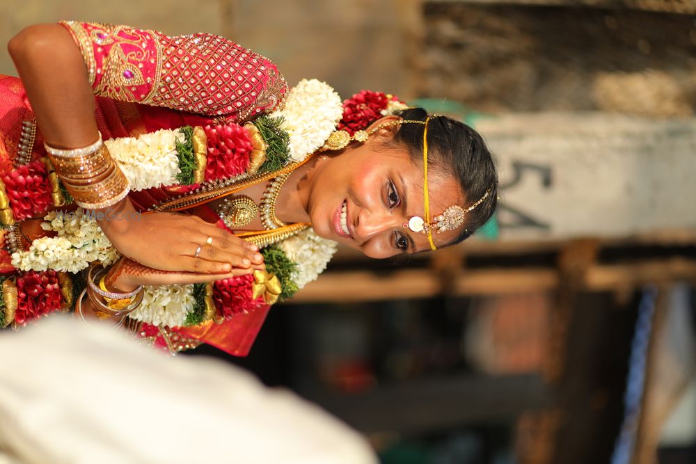 Photo By Team Media Hobbyist - Photographers