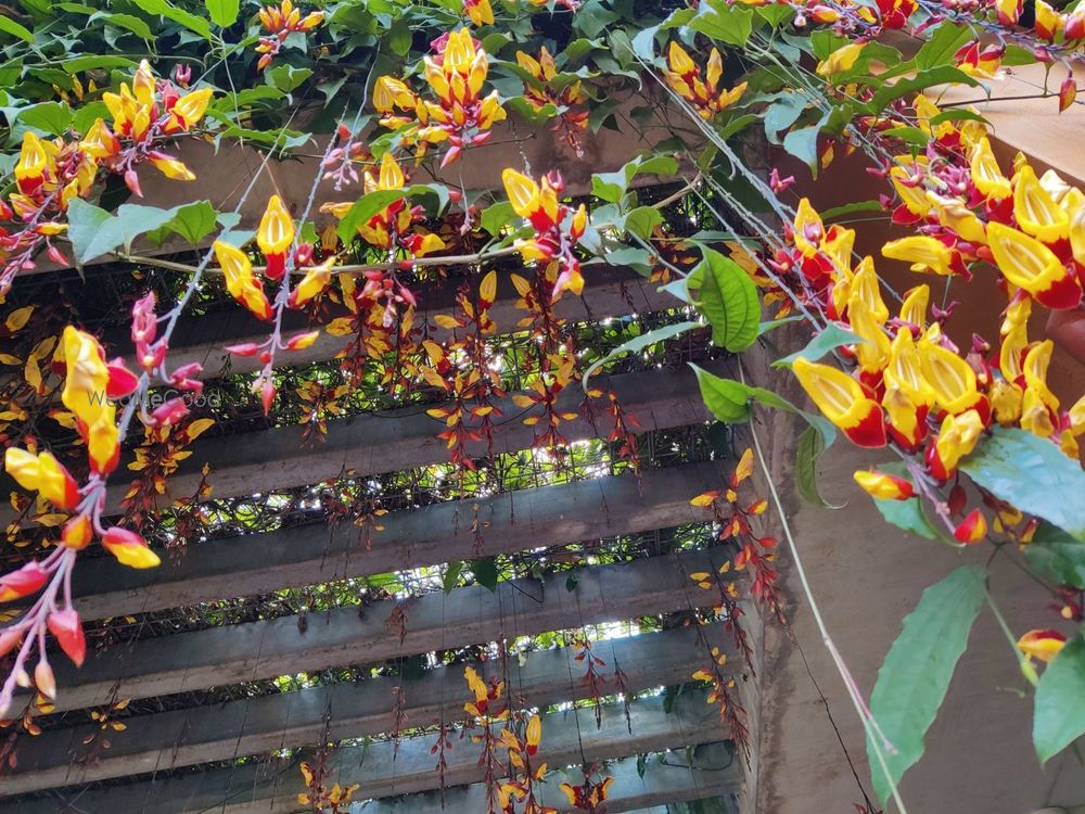 Photo By Galascapes - Wedding Planners