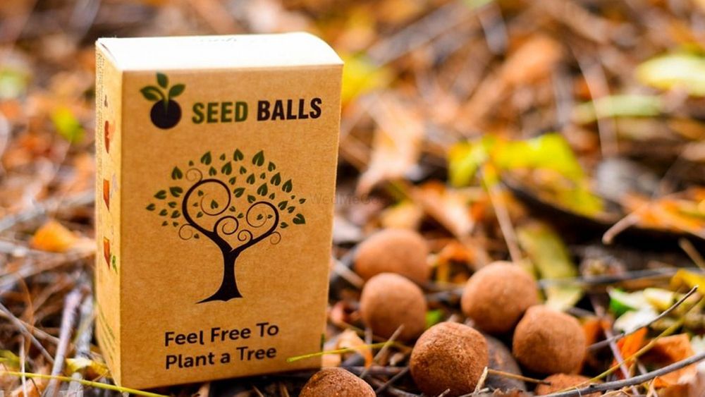 Seed Balls