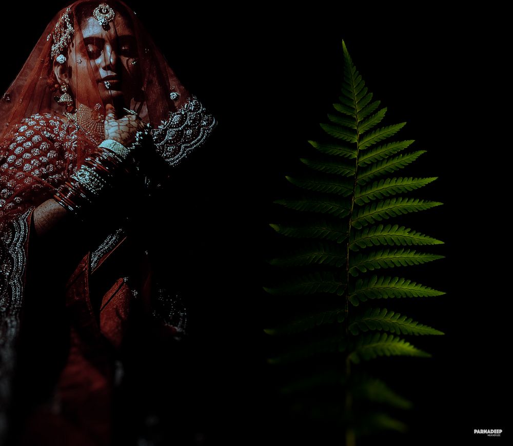Photo By Parnadeep Mukherjee Photography - Photographers
