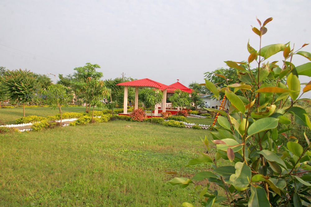 Alphanso Resort