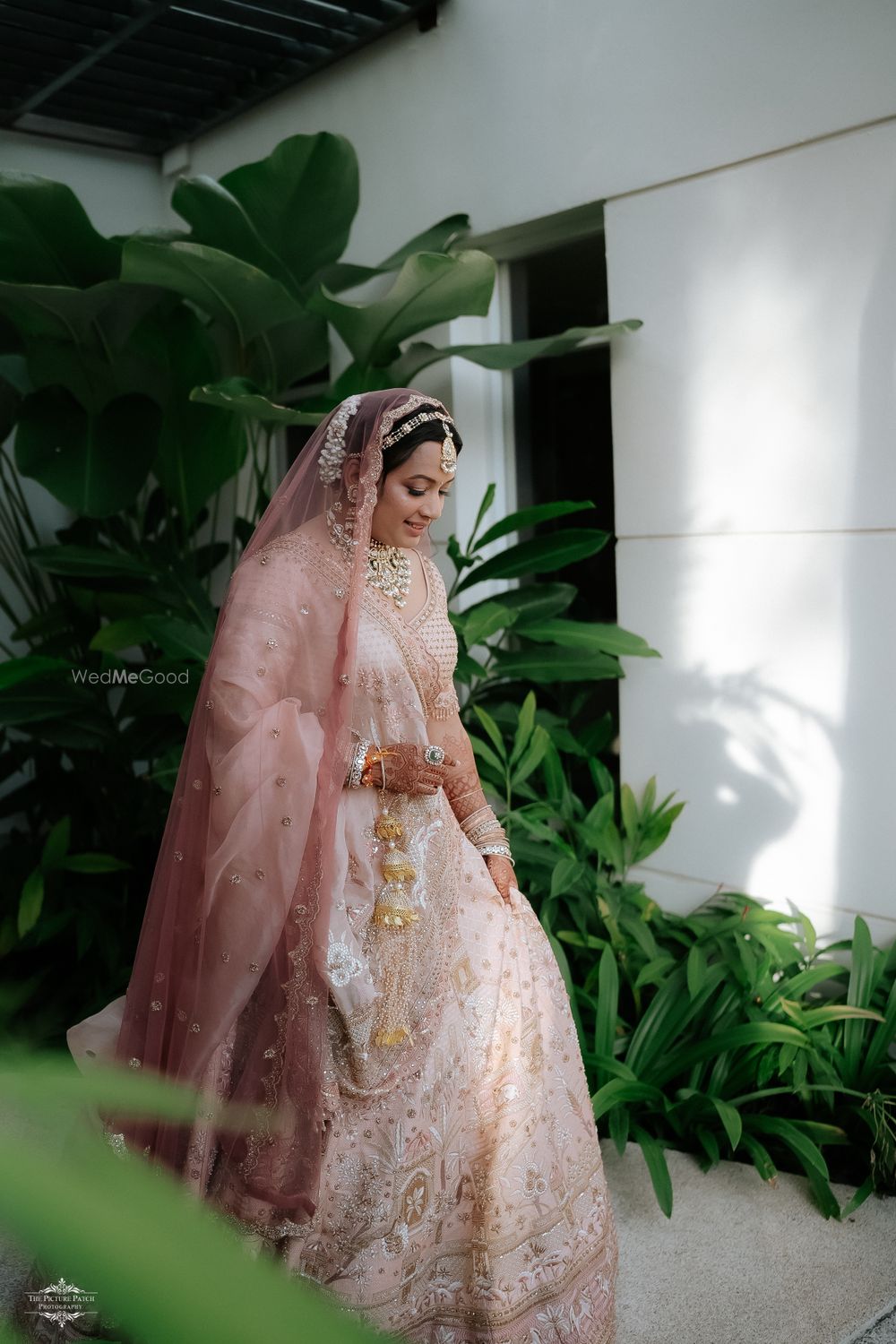 Photo By The Picture Patch Photography  - Photographers