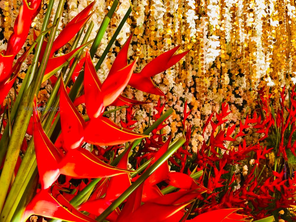 Photo By Impulse India - Wedding Planners