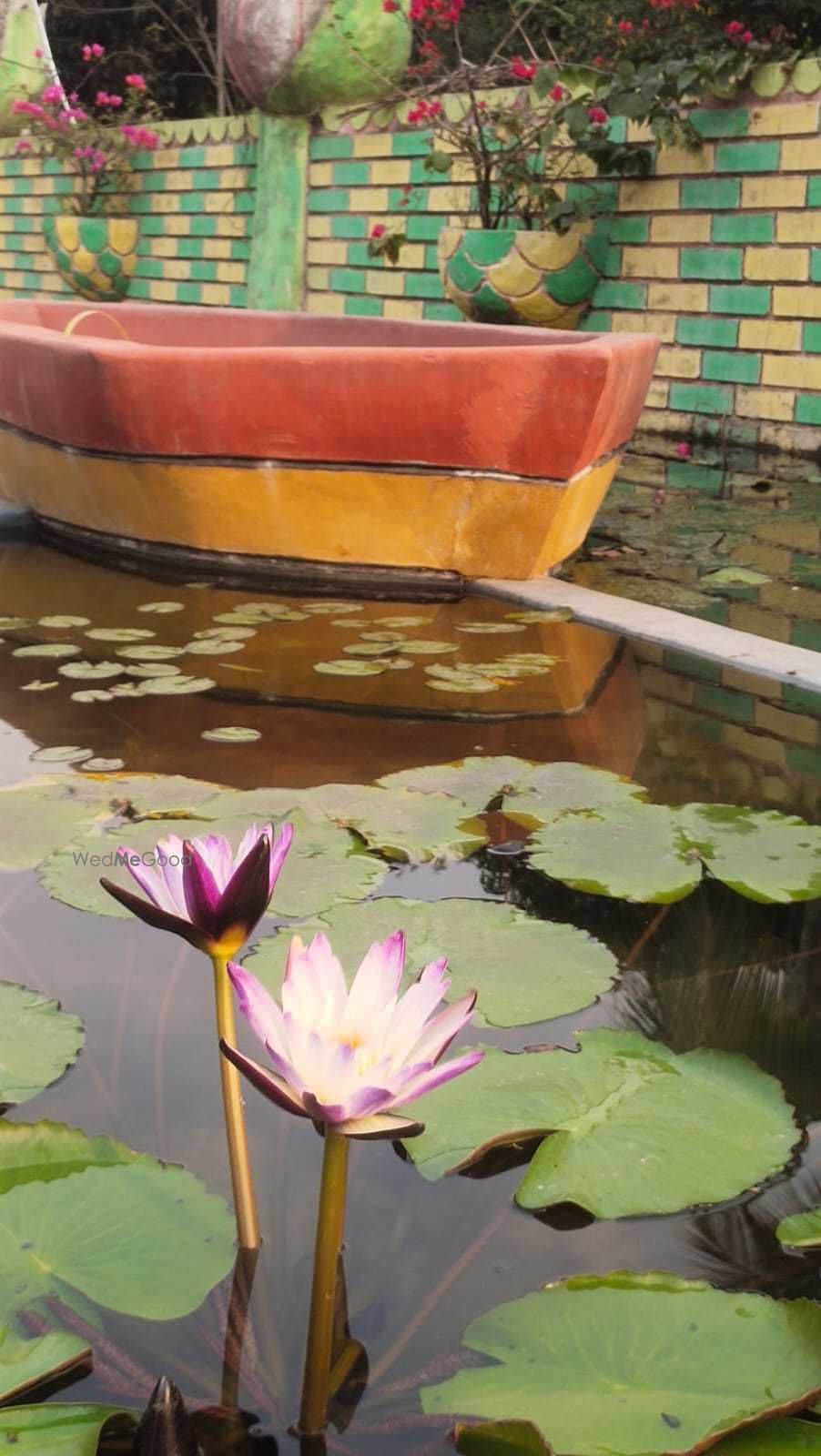 Photo By Golden Lotus Sai Temple - Venues