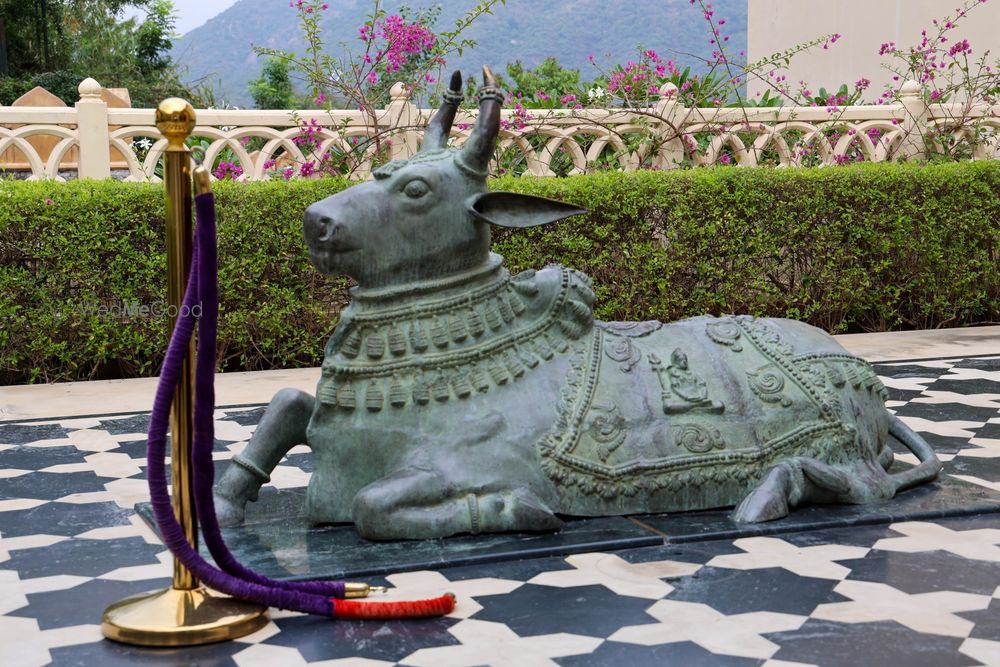 Photo By Falcon Social - Wedding Planners