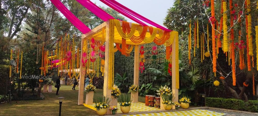 Elegent Affairez - Decor