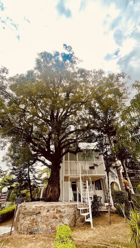 Photo By Bodhi Retreat - Venues