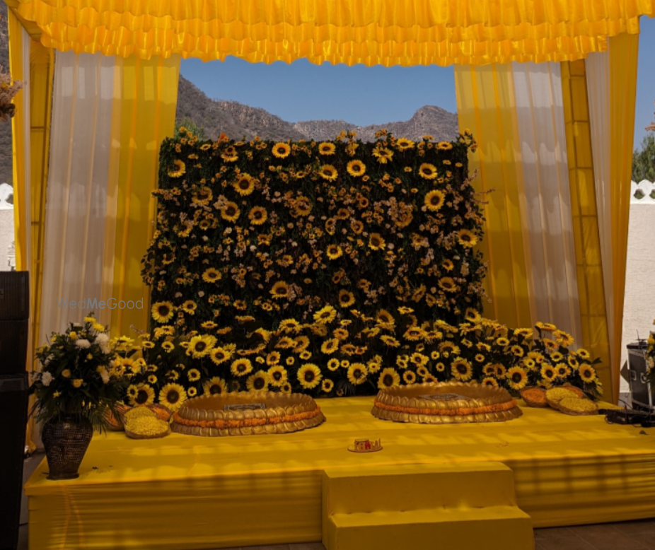 Celestial Event Organizers - Decor