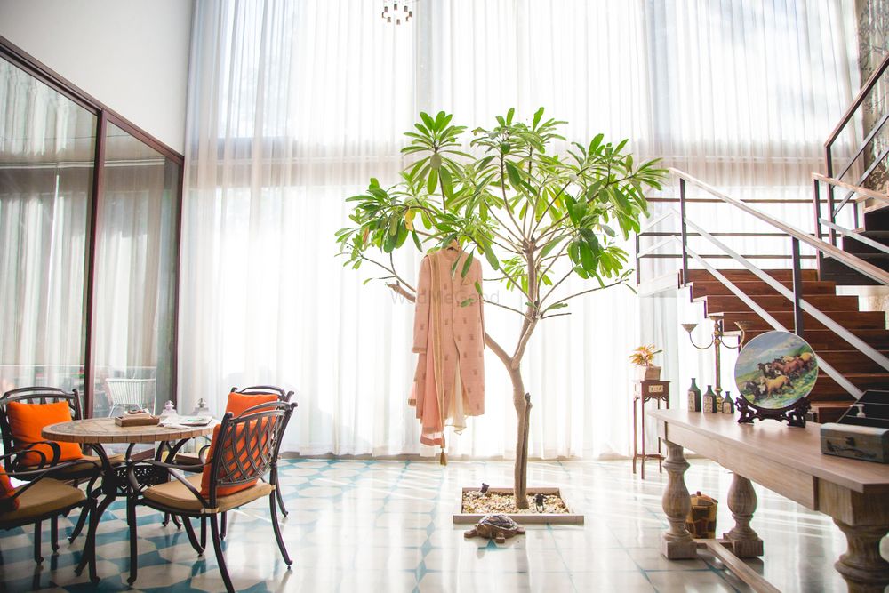 Photo of beige coloured sherwani hanging on indoor tree