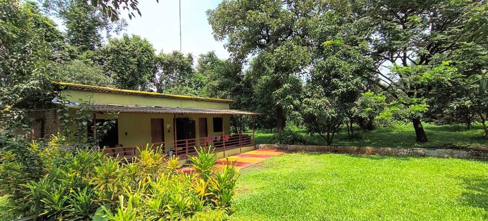 Nivant Garden Lawn Grower