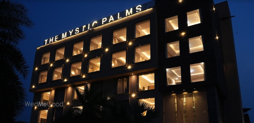 The Mystic Palms