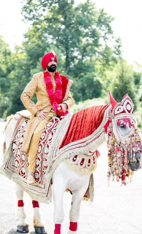 Photo By Chotu Dhol & Band - Wedding Entertainment 