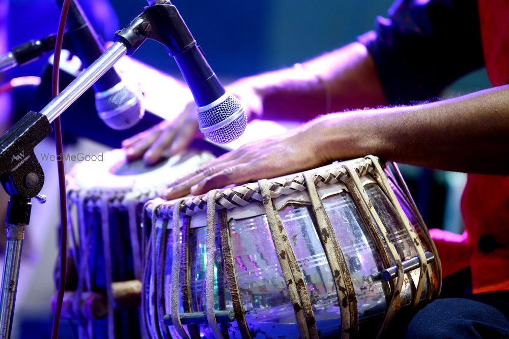 Photo By Mandolin Saiganesh - Wedding Entertainment 