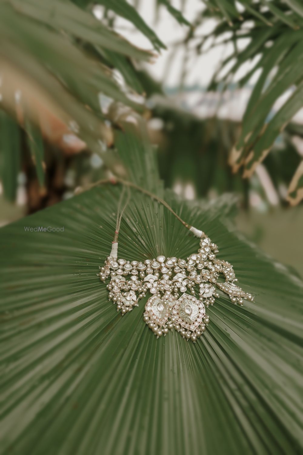 Photo By Shree Ji Photography - Pre Wedding - Pre Wedding Photographers