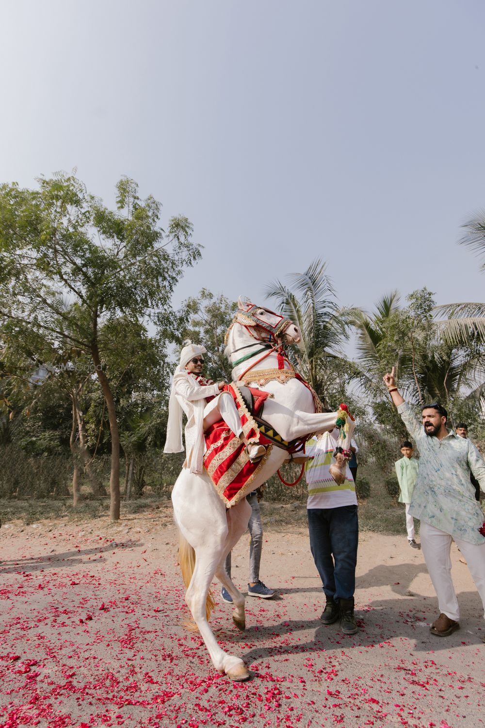 Photo By Papaji Photography - Photographers