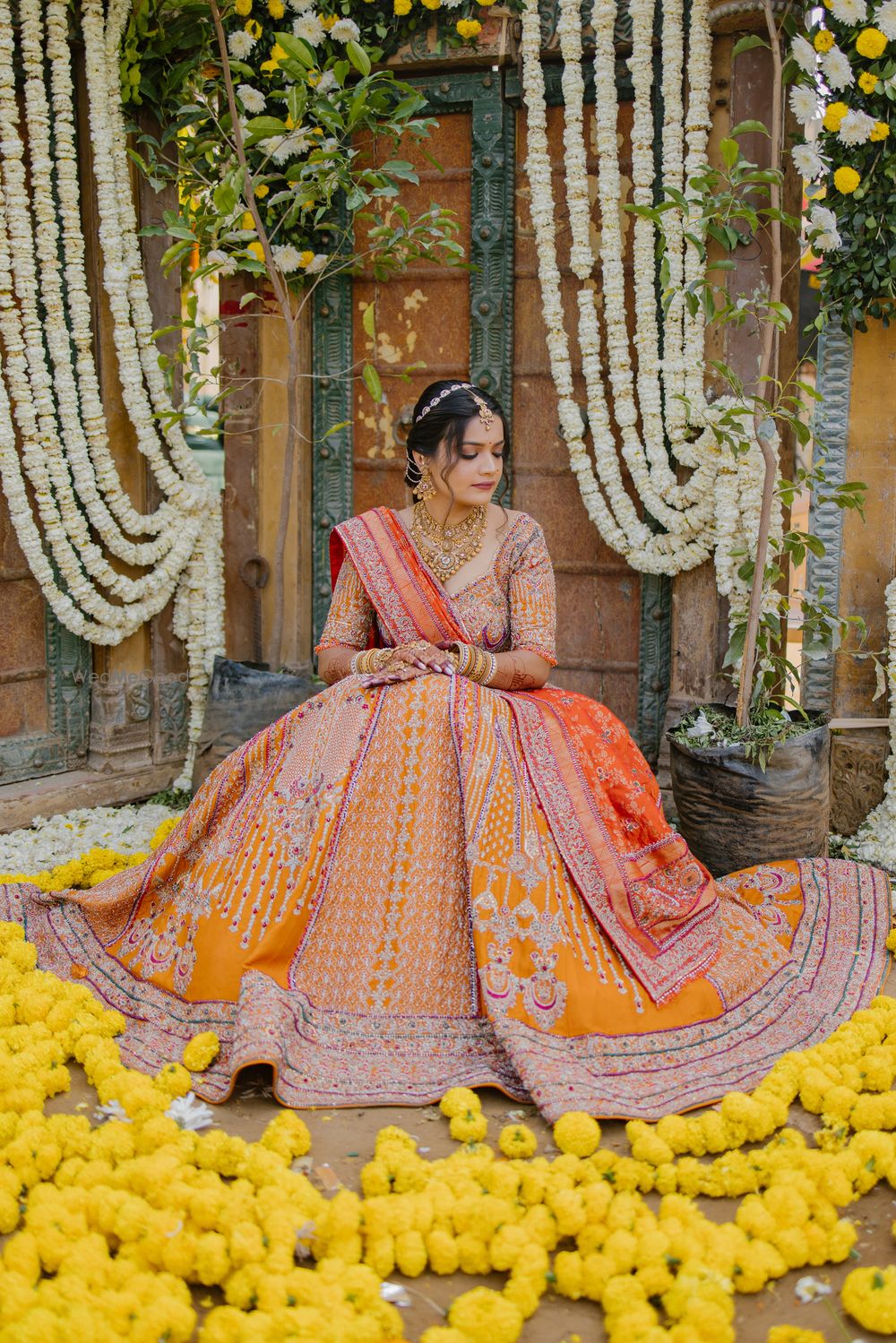 Photo By Papaji Photography - Photographers