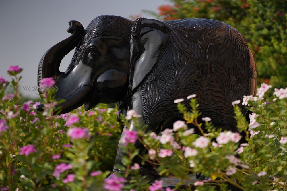 Photo By Buena Vista Luxury Garden Spa Resort - Venues