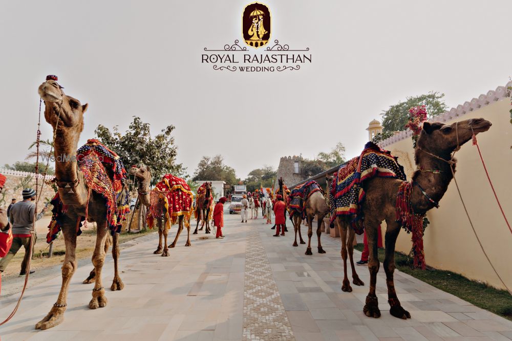 Photo By Royal Rajasthan Wedding - Wedding Planners