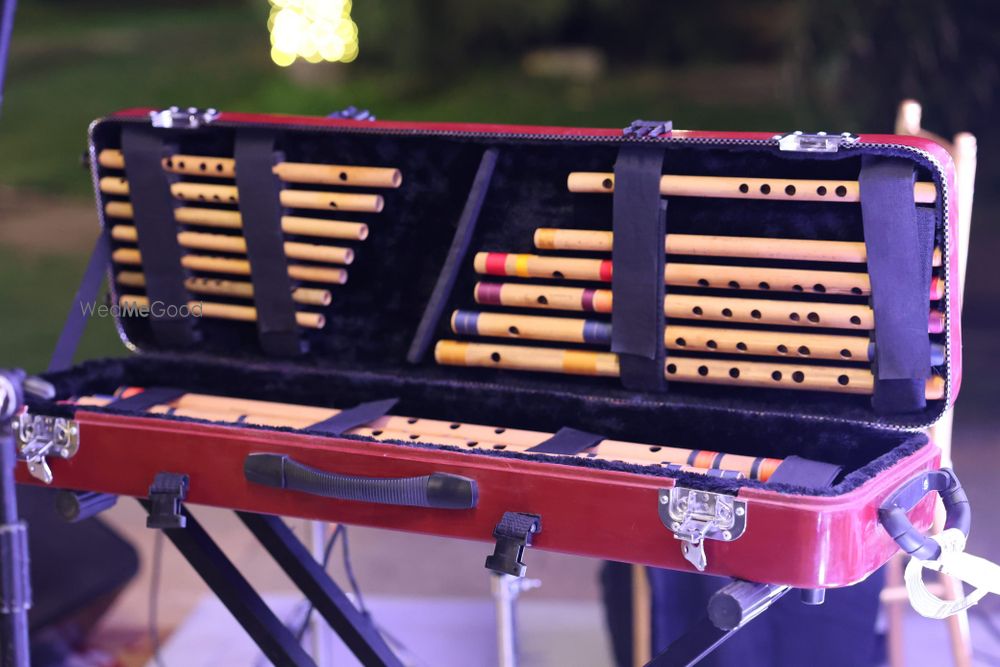 Photo By Raghav Modi - Wedding Entertainment 