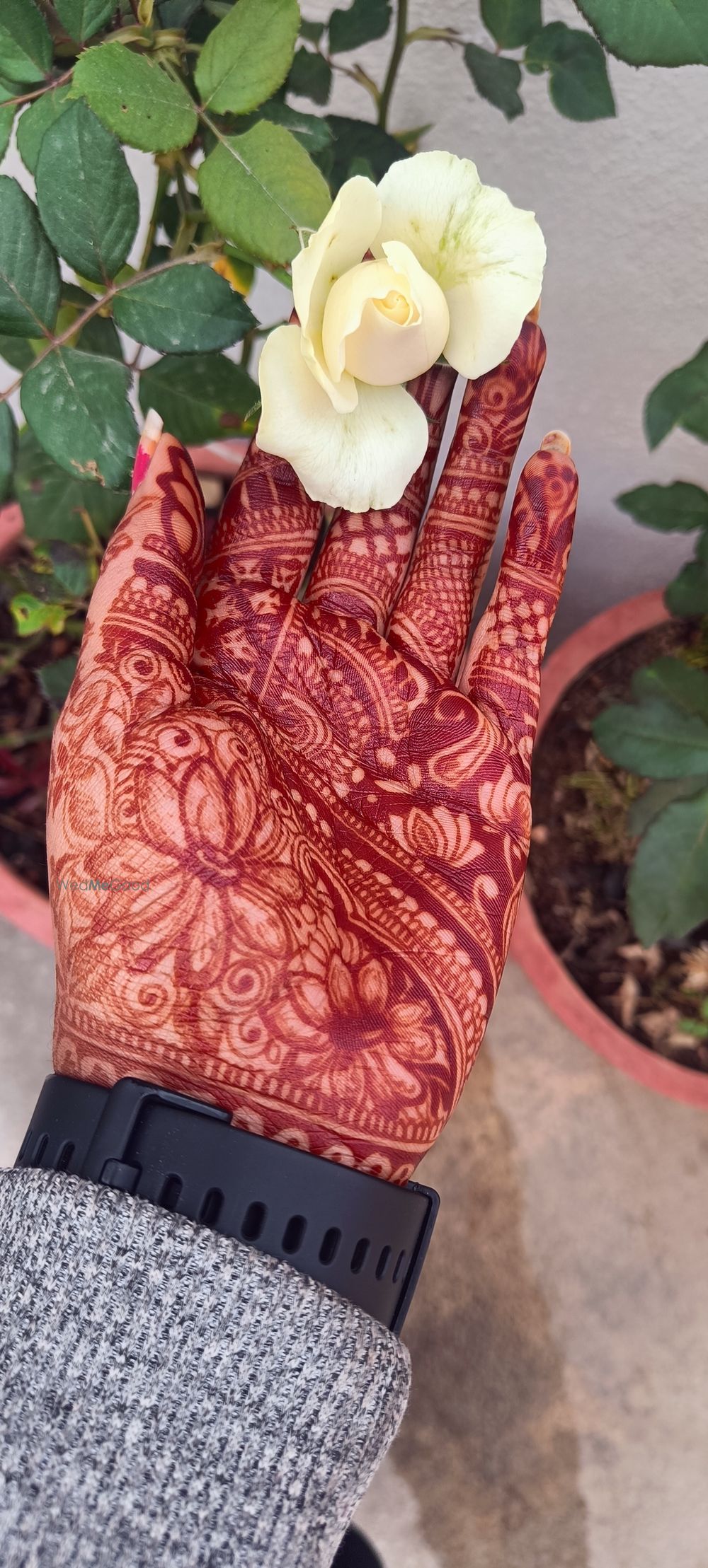 Photo By Lotus Mehendi Arts  - Mehendi Artist