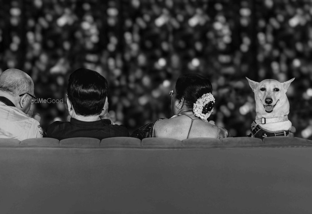 Photo By Shutterbug Film Company - Photographers