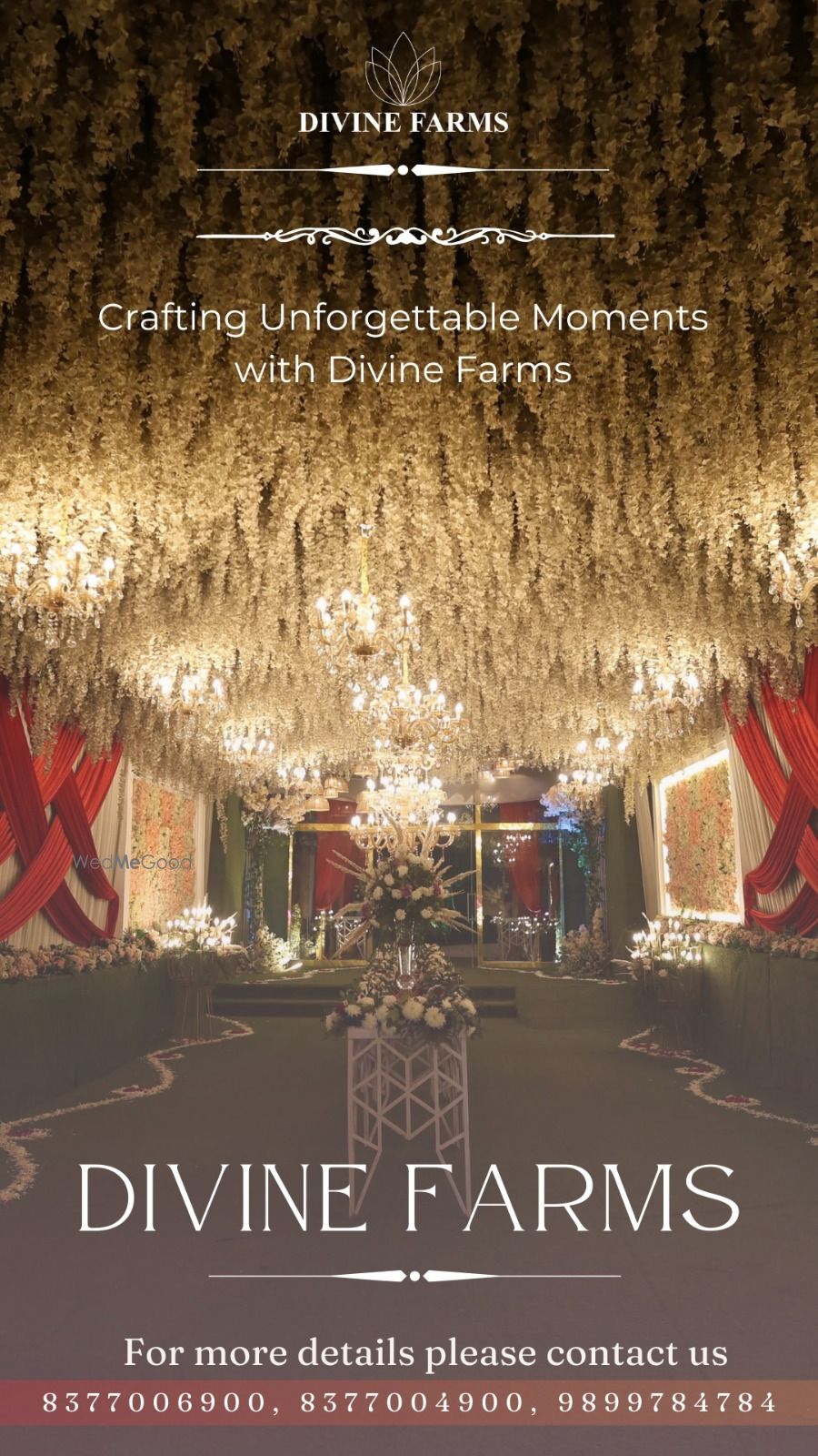 Photo By Divine Farms - Venues