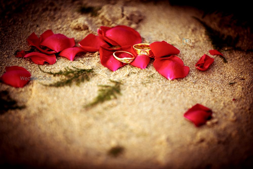 Photo By Provision Photography - Photographers