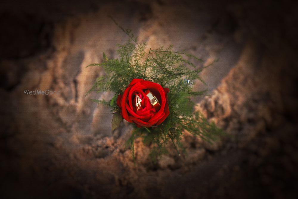 Photo By Provision Photography - Photographers