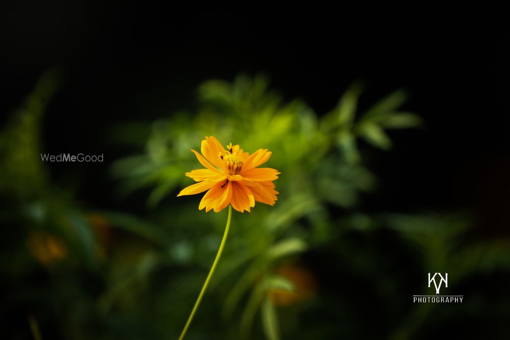 Photo By K K Photography - Photographers