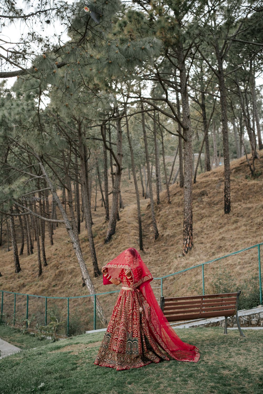 Photo By Himanshu Sharma Photography - Photographers