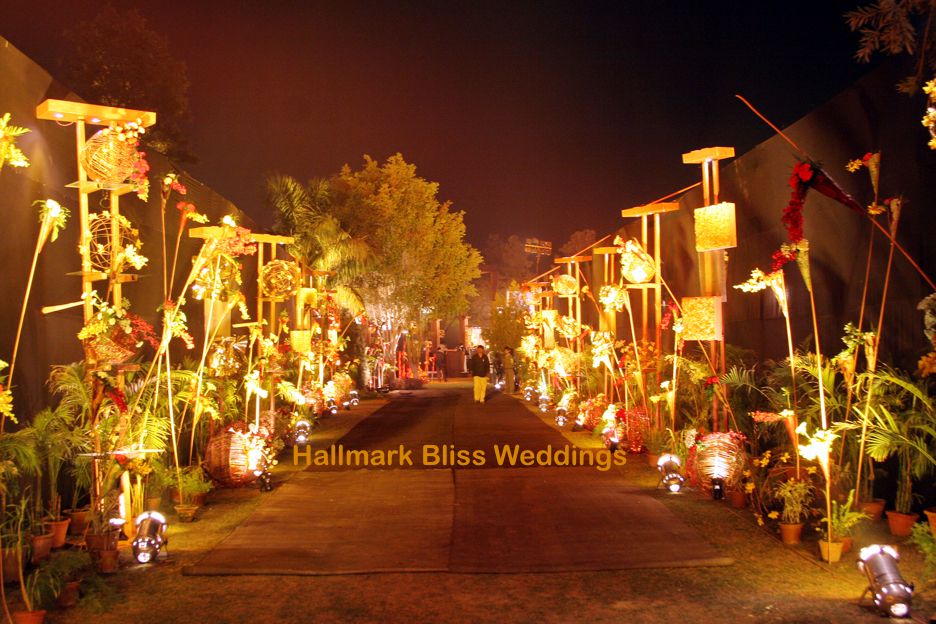 Photo By Hallmark Bliss Weddings - Decorators
