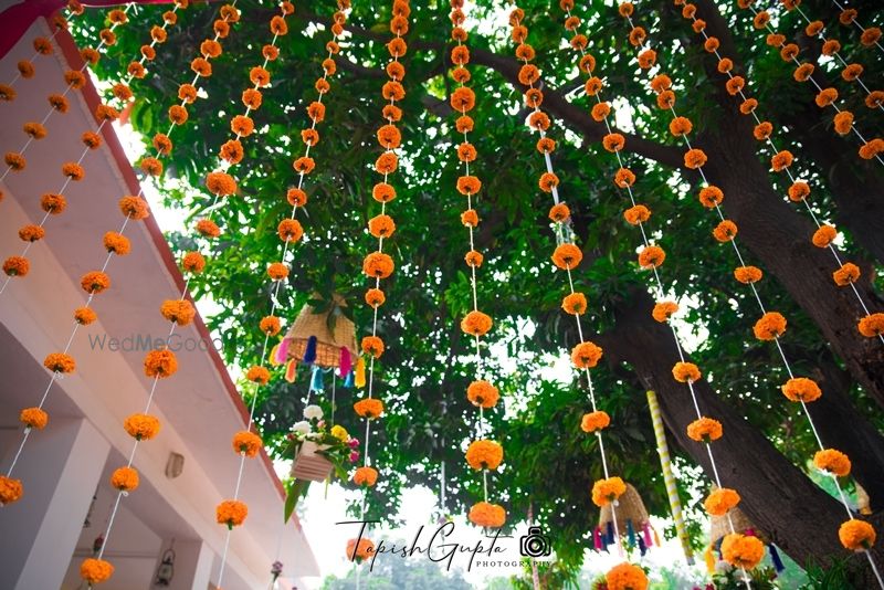 Photo of Tree decor ideas with hanging genda strings