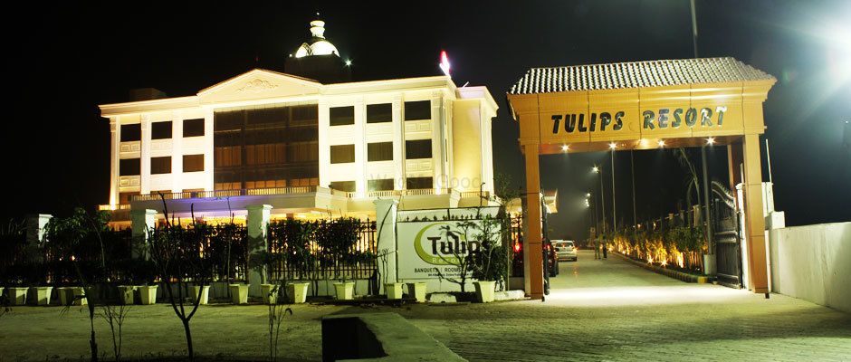 Photo By Tulips Resort, Hisar - Venues