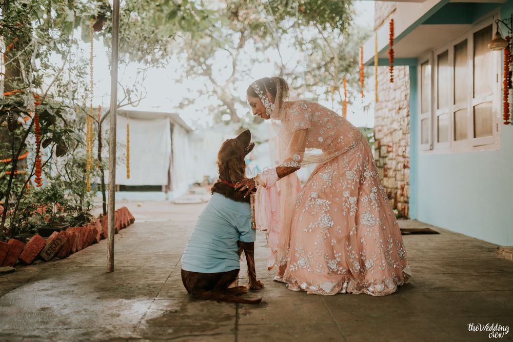 Photo By The Wedding Crew - Photographers