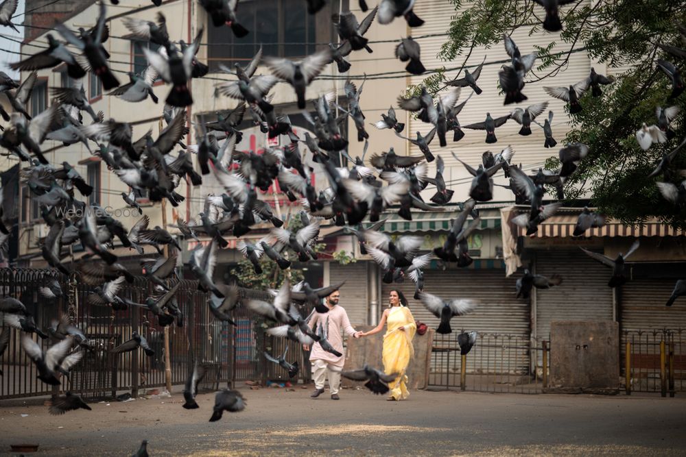 Photo By Dhaval Photography - Photographers