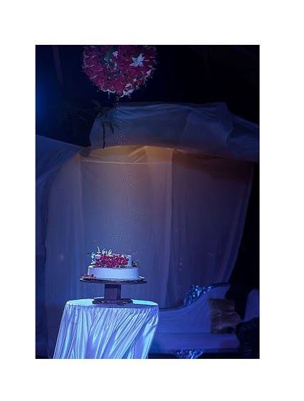 Photo By Creatives & Event Lounge - C.E.L - Wedding Planners