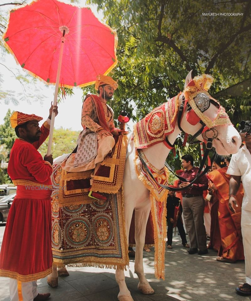 Photo By Mayuresh Photography & Flim - Cinema/Video