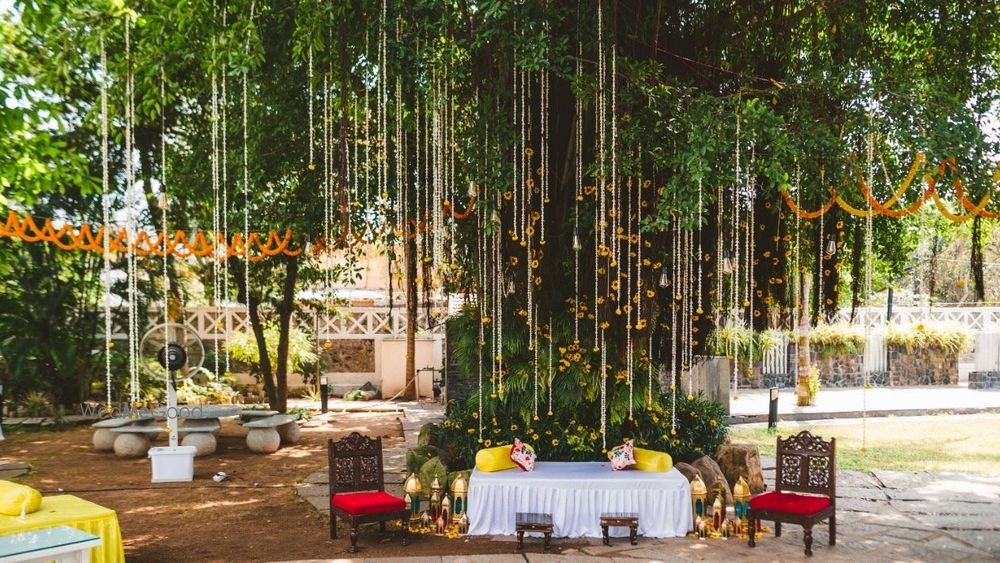 The Royal Palms