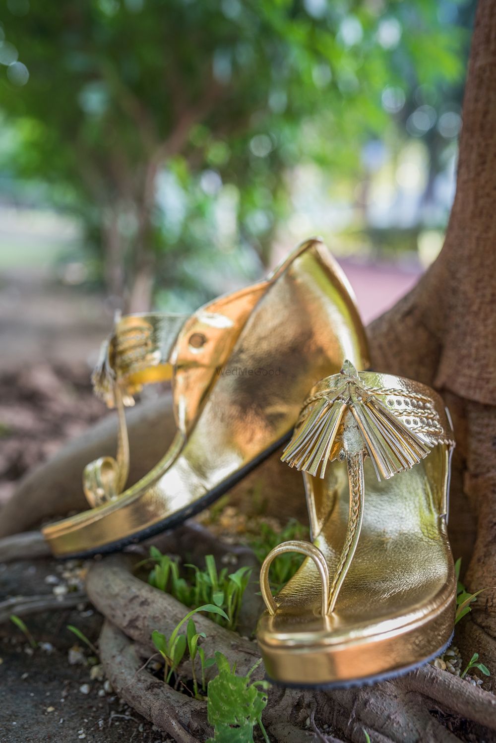 Photo By The Shoe Tales - Accessories