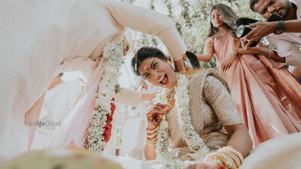 Vivek Krishnan Photography