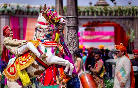 Photo By The Life Copy - Photographers